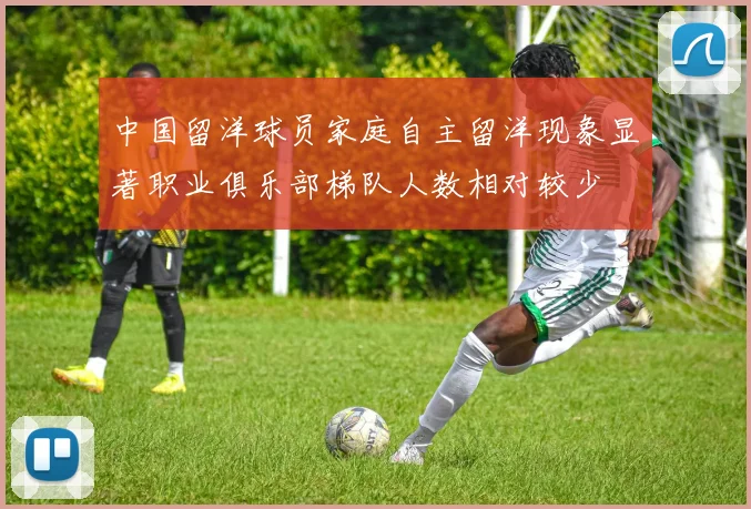 中国留洋球员家庭自主留洋现象显著职业俱乐部梯队人数相对较少